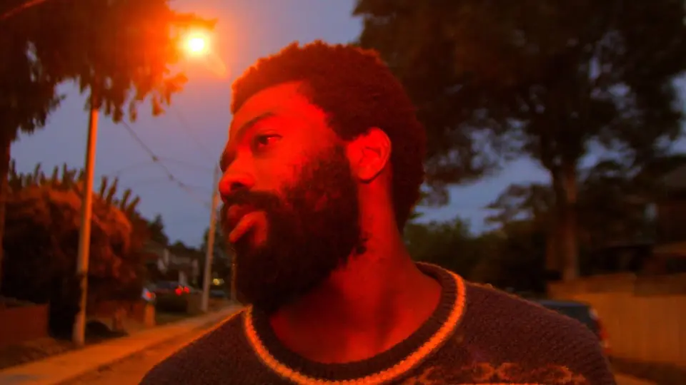 Still from the Ladybug video